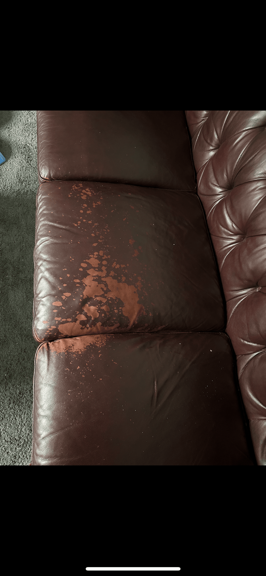 Violino chesterfield 2 piece sofa