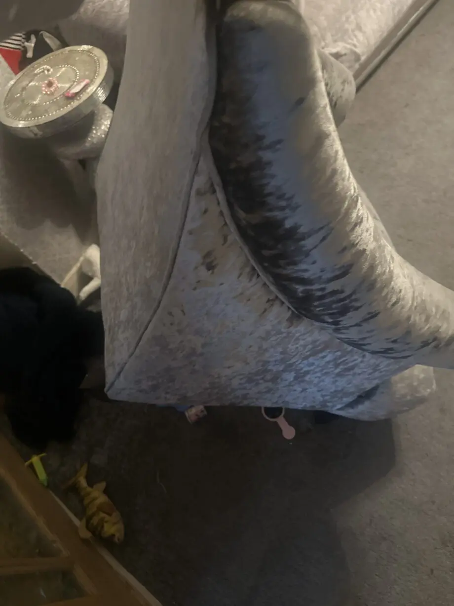 Single grey velvet sofa chair from dfs