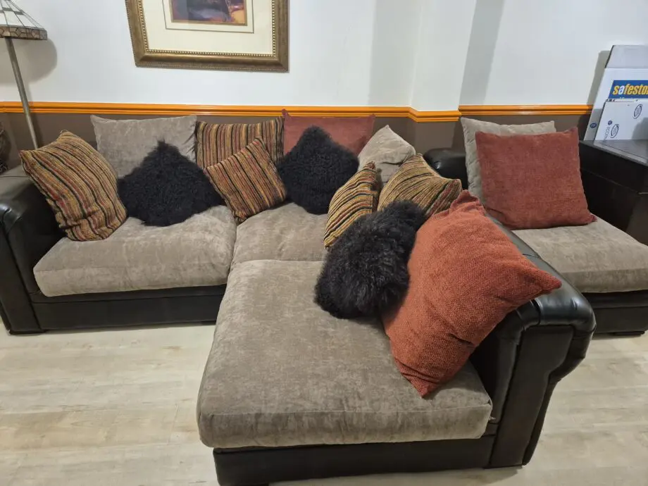 2 seater Sofa bed and Corner Sofa