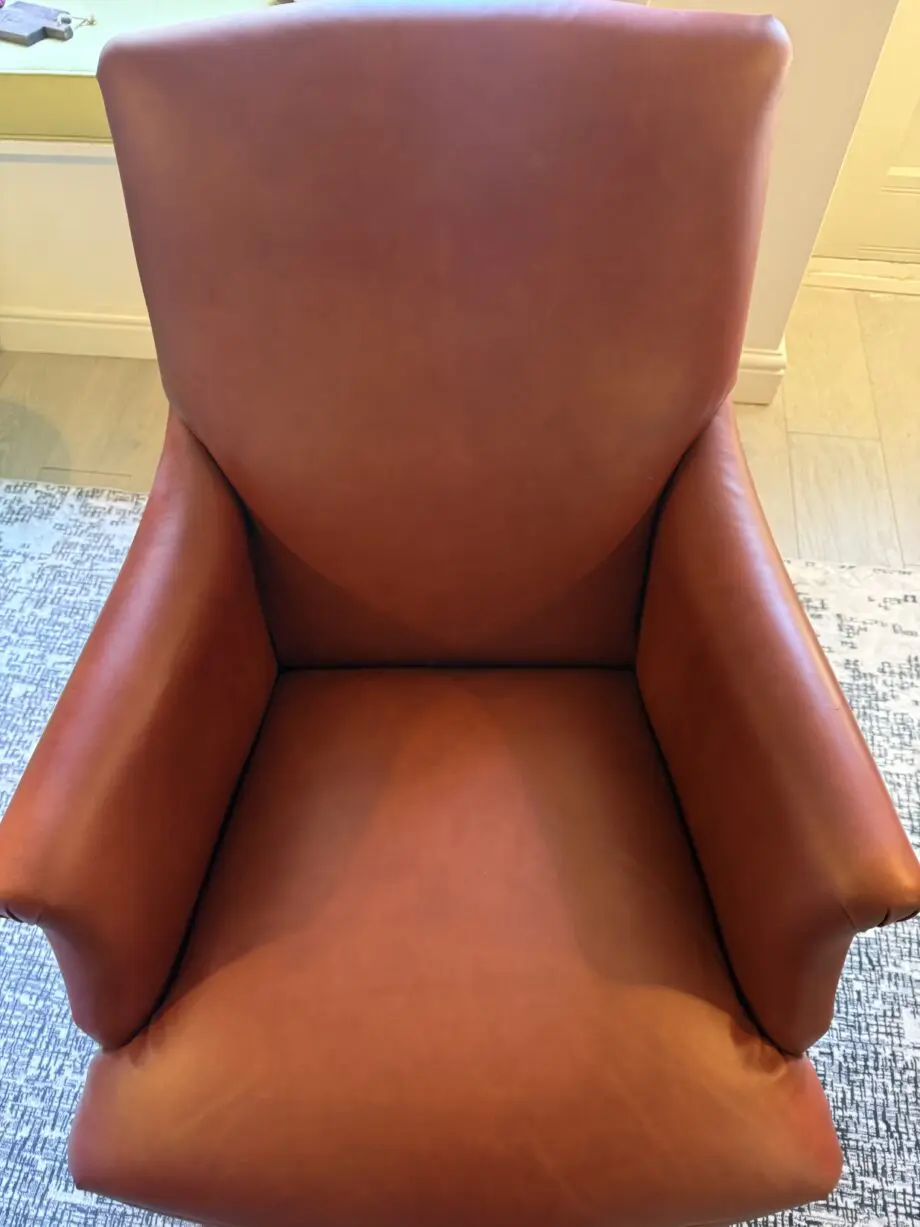 Leather Snape Chairs from Sofas & Stuff