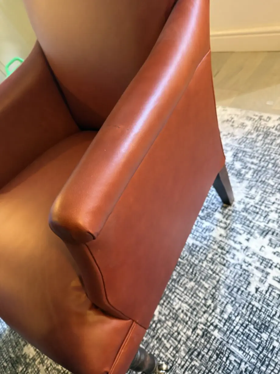 Leather Snape Chairs from Sofas & Stuff